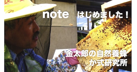 noteの見出し画像